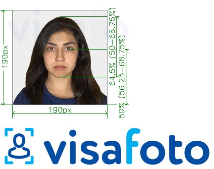 Նկարի օրինակ  Հնդկաստան Visa 190x190 px միջոցով VFSglobal.com-ի համար ճշգրիտ չափորոշիչով։