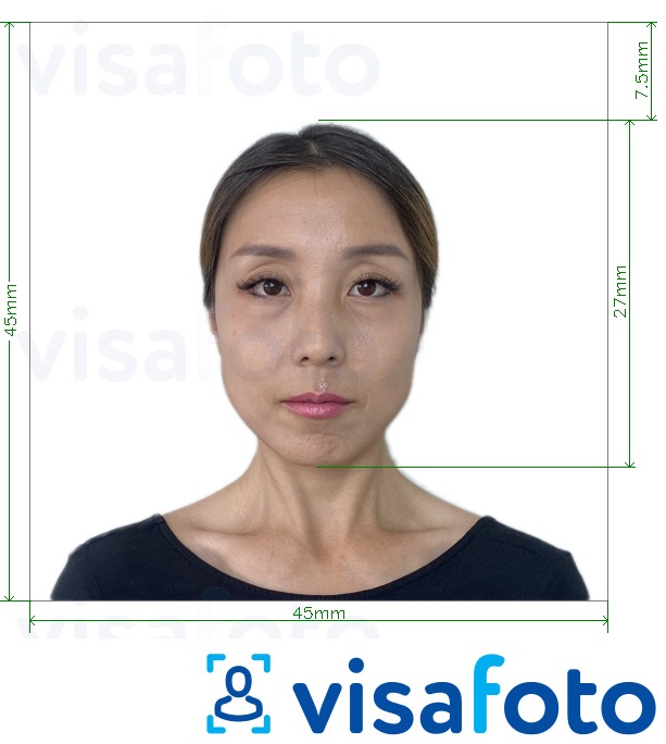 Նկարի օրինակ  Ճապոնիա Visa 45x45mm, ղեկավար 27 մմ-ի համար ճշգրիտ չափորոշիչով։
