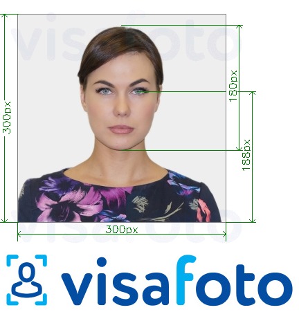 Նկարի օրինակ  Հարավարևելյան անձի ID քարտը առցանց 300x300 px-ի համար ճշգրիտ չափորոշիչով։